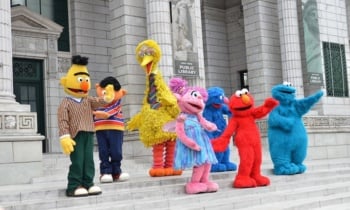 bert