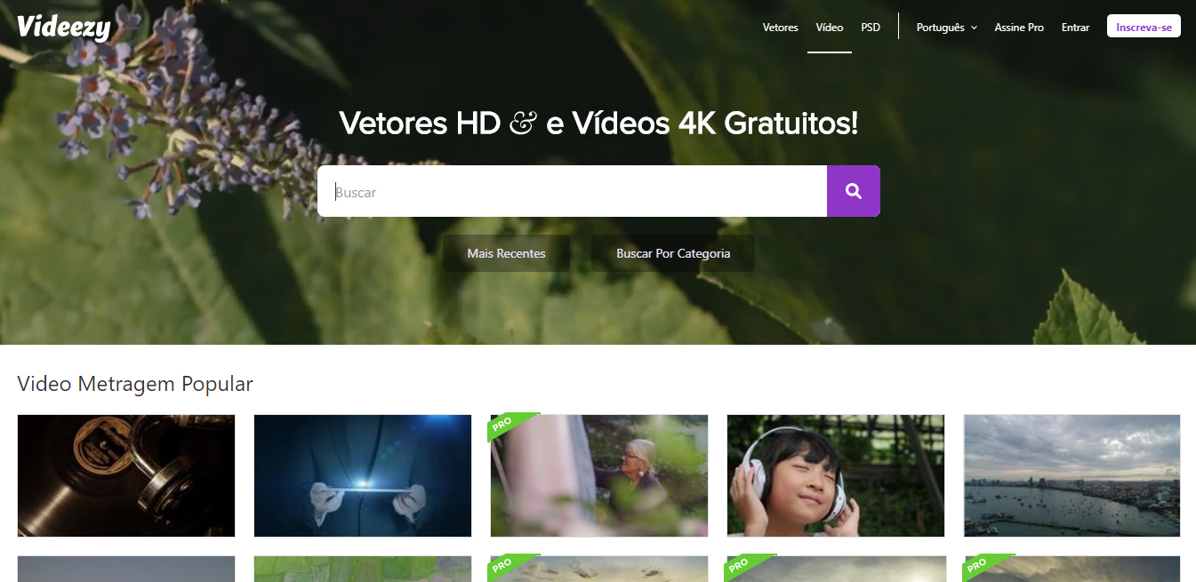 videezy como exemplo de banco de vídeos