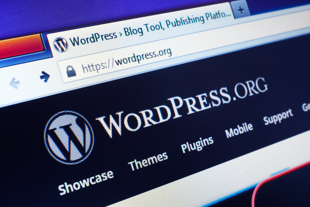 wordpress como exemplo de ferramenta de marketing digital par aconstrução de blogs