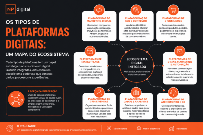 Infográfico sobre as principais plataformas digitais