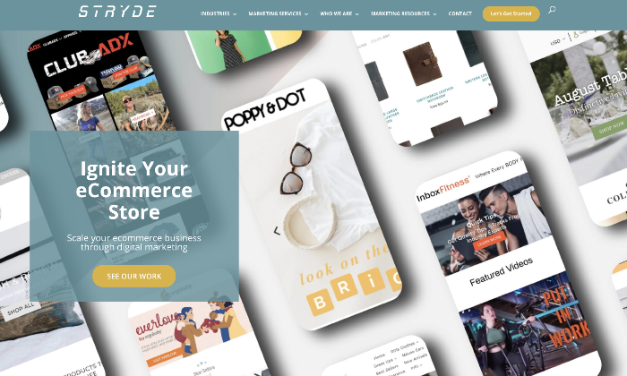 ECommerce Digital Marketing Agency   STRYDE 1