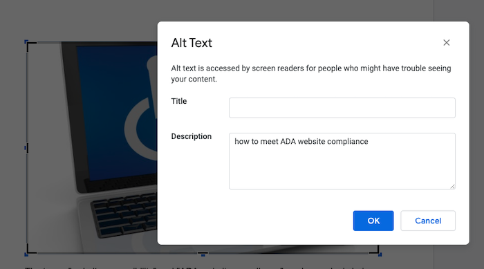 ADA website compliance alt text