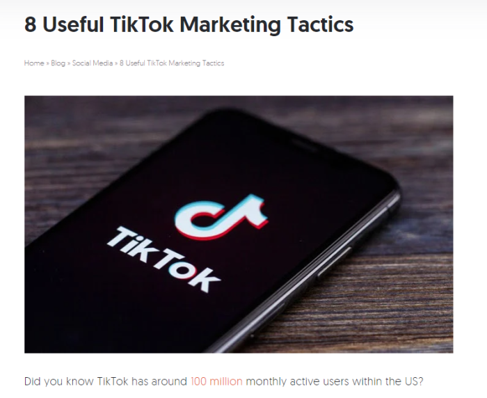 Listicle on how to use TikTok in marketing