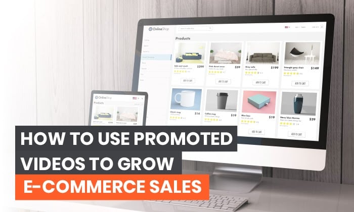 Promoted Videos Ecommerce