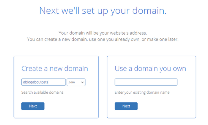 Setting up your new domain name with Bluehost