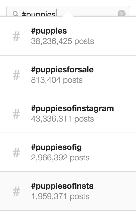Using Instagram Top Hashtags Instagram providing recommendations for hashtags about puppies
