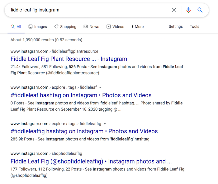 Instagram SEO Google results for fiddle leaf fig instagram