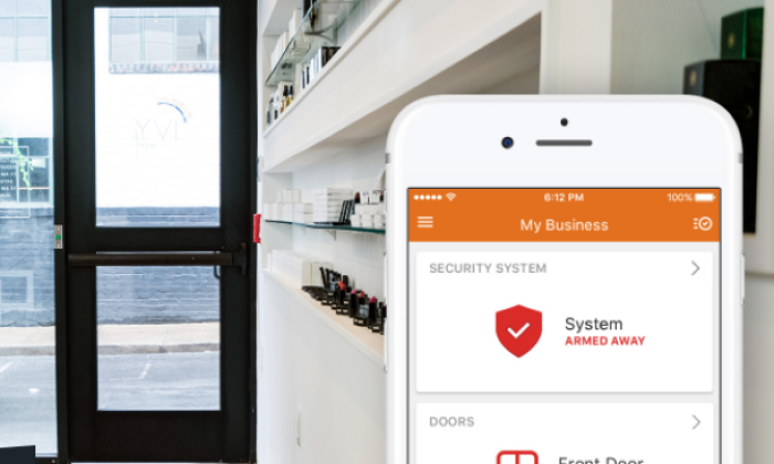Best Business Security System Reviews of 2021