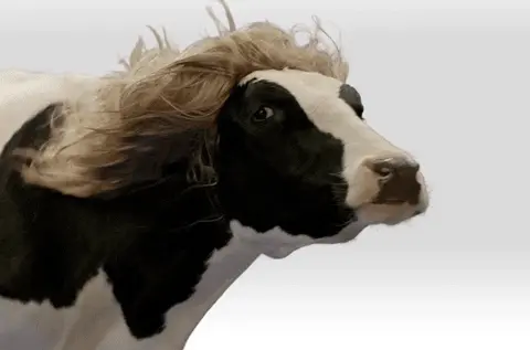 Gif-Chiik-Fil-A-Cow