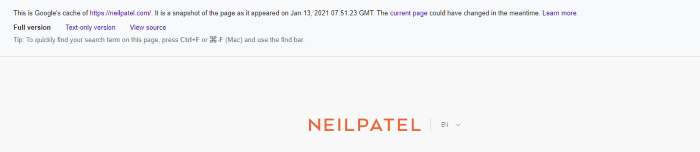  view of google cache on NP 