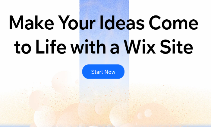 Wix Review