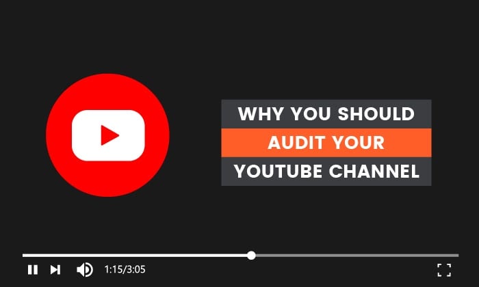 Youtube Audit