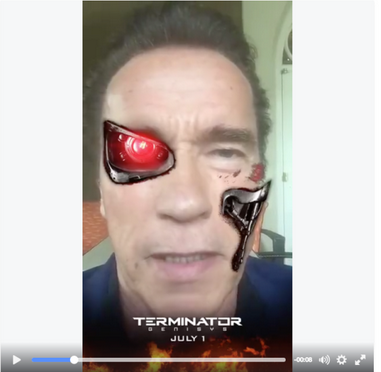 Ways to Use Sponsored Snapchat Filter - Example of Terminator