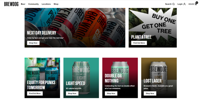 Successful Equity Crowdfunding Case Studies - BrewDog