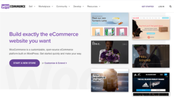 Image related to WordPress Vs. Shopify
