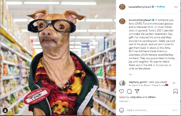 Pet owners may also respond to dog influencers like Tuna