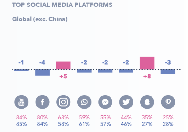 Strategies for Using Niche Marketing to Reach Small Audiences - Social Media Demographics