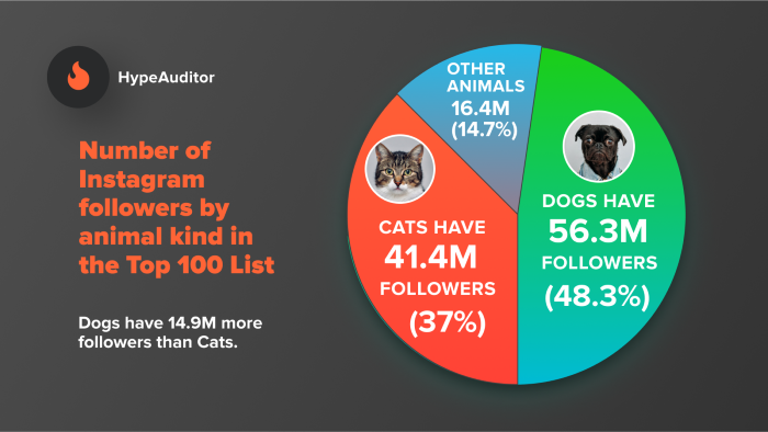 Ways to Target Pet Owners Using Paid Ads - Pet Influencer Content