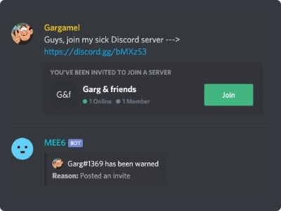 Discord Bots to Try - MEE6
