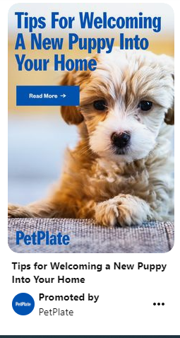 pet owners find brands like PetPlate on social media