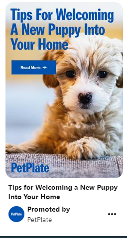 How to Use Paid Ads to Market to Pet Owners Effectively