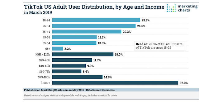 sell products on TikTok - distribution of users by age/income 