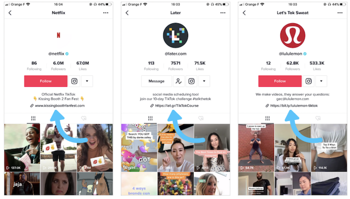 example of including your link to your website )or other content) - sell products on tiktok
