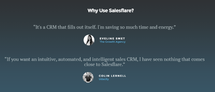 Testimonial Examples Used on Landing Pages - Salesflare testimonial examples - salesforce