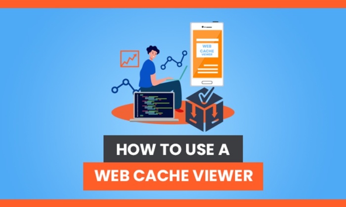 Web Cache Viewer 9