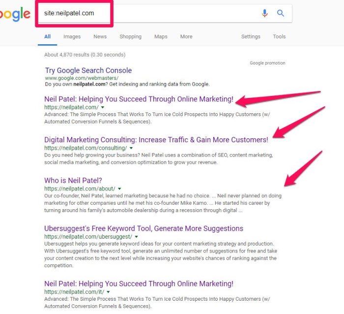 technical seo audit - root domain search