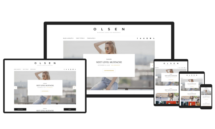 Olsen demo pages for Best WordPress Themes for Blogs