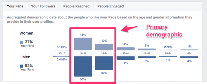 use facebook demographics to create a target persona for your inbound marketing strategy