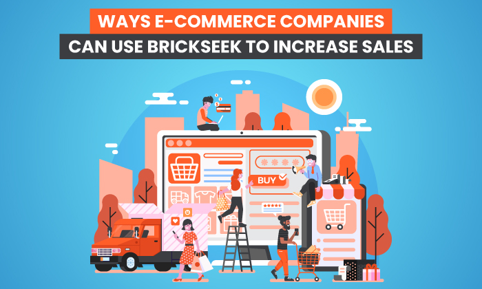 5 Ways E-Commerce Companies Can Use BrickSeek to Increase Sales