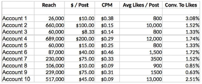 A simple spreadsheet comparing accounts for Instagram e-commerce partnerships.