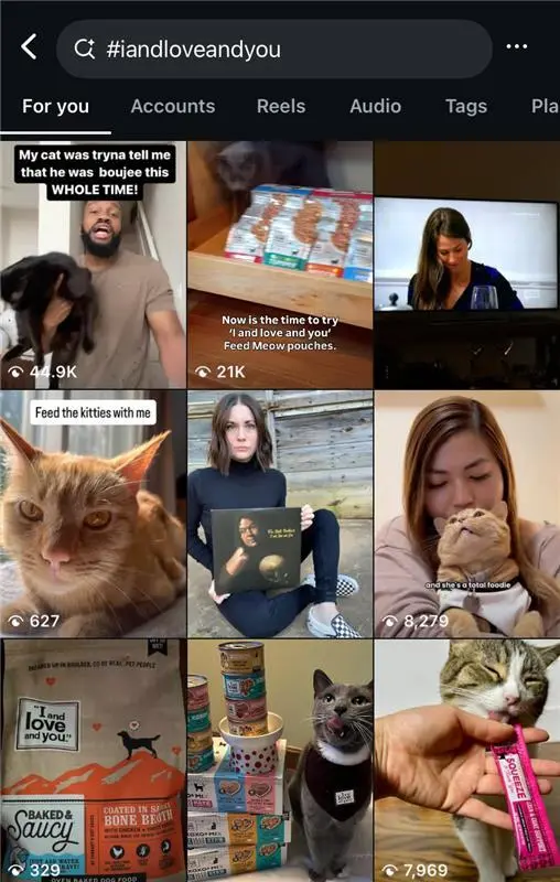 Dynamic SEO Pro Instagram hashtag page for #iandloveandyou, showing a 3×4 grid of pet-related posts featuring cats, pet owners, and various “I and Love and You” cat food products.