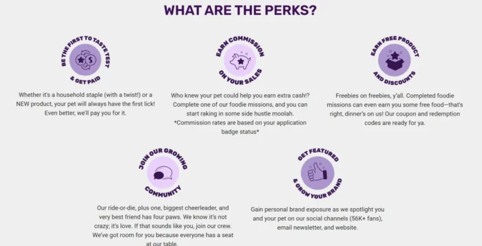 Dynamic SEO Pro Section titled “What Are the Perks?” displaying six benefit icons with short descriptions for members of the “I and Love and You” influencer ambassador program