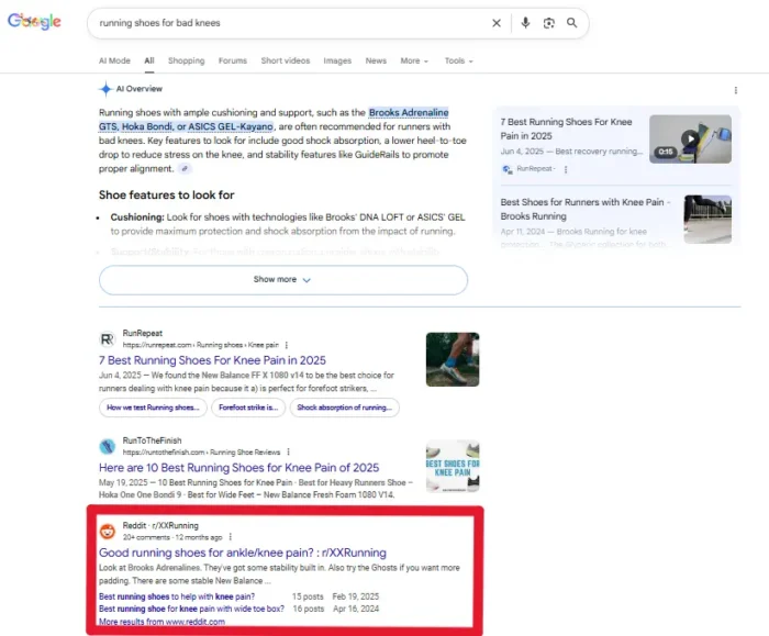 Dynamic SEO Pro Google search results page for ‘running shoes for bad knees’ showing an AI Overview at the top, followed by blog results and a highlighted Reddit thread from r/running about good running shoes for ankle and knee pain appearing on page one.