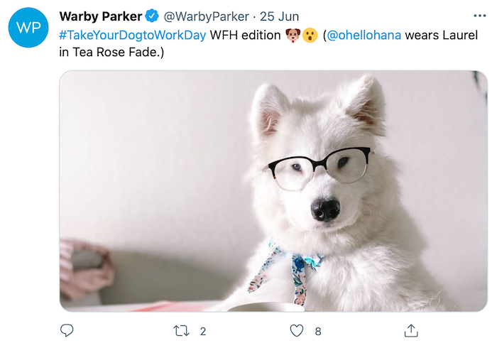 Brand Awareness Campaign - Warby Parker Brand Personality