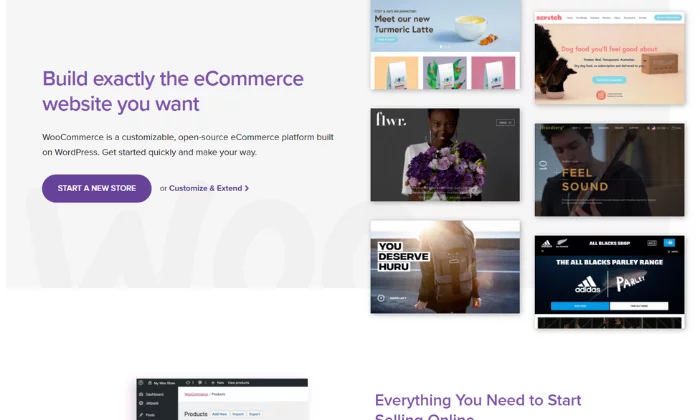 صفحة البداية WooCommerce لأفضل منصات التجارة الإلكترونية