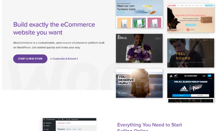 WooCommerce splash best ecommerce platforms - Best E-commerce Platforms