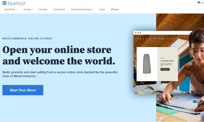 Bluehost stores for Best Ecommerce Platforms