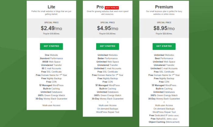 GreenGeeks pricing for Best Shared Hosting