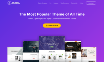 The Best WordPress Themes You Should Consider Using in 2024