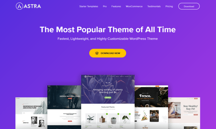 Astra splash page for Best WordPress Themes