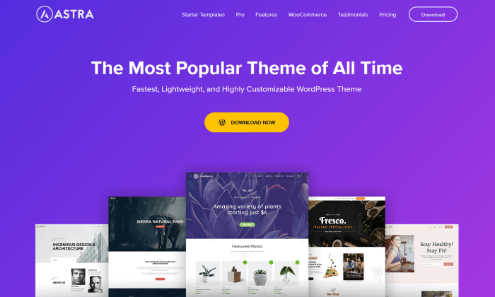 The Ultimate List of WordPress Themes - Page Design Web