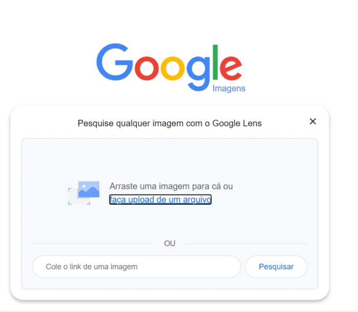 pesquisa por imagem: google lens