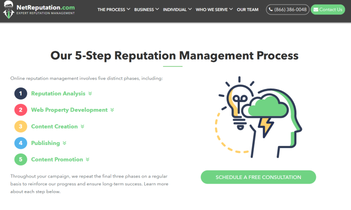 NetReputation process for Best Online Reputation Management