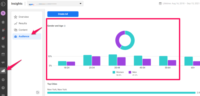 social media audit facebook insights audiences