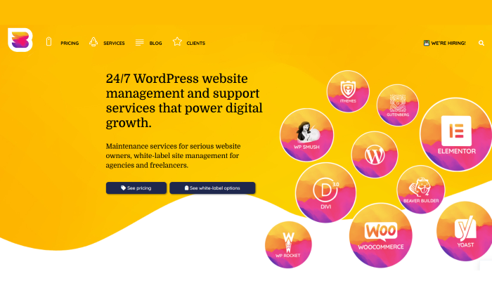 WP Buffs homepage for Best WordPress Maintenance and Management Services
