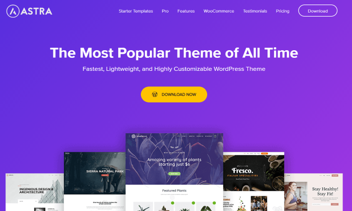 Astra main page for Best Ecommerce WordPress Themes